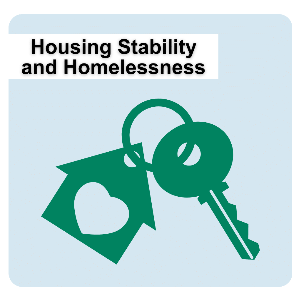Housing Stability and Homelessness